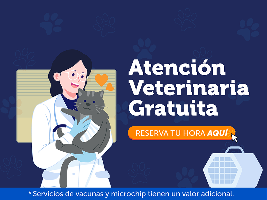 Atención Veterinaria Gratuita