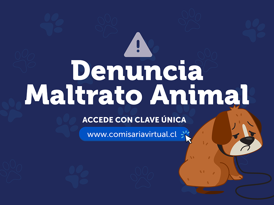 denuncia maltrato animal