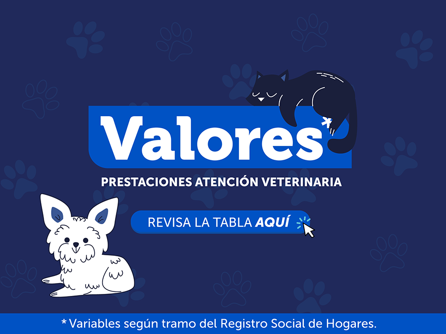 valores