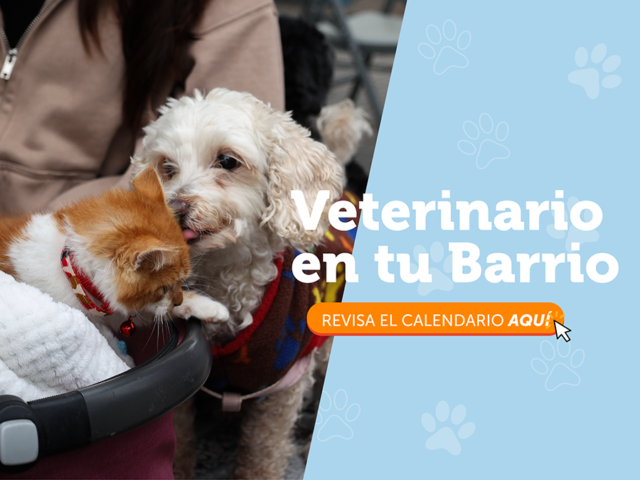 veterinario en tu barrio